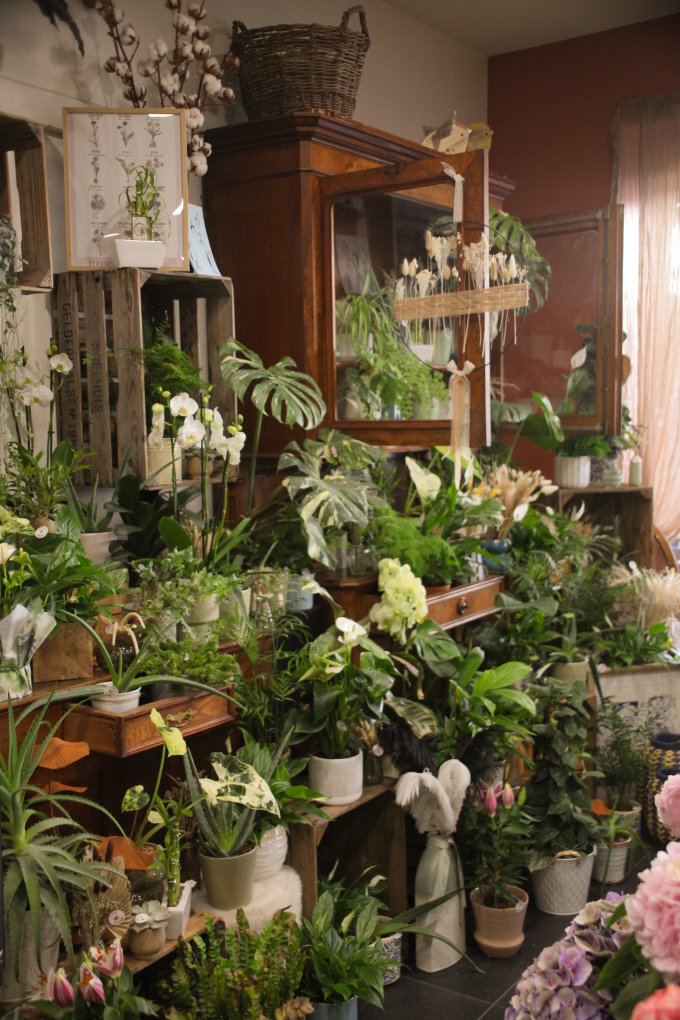 Un doux parfum d'automne photo 12